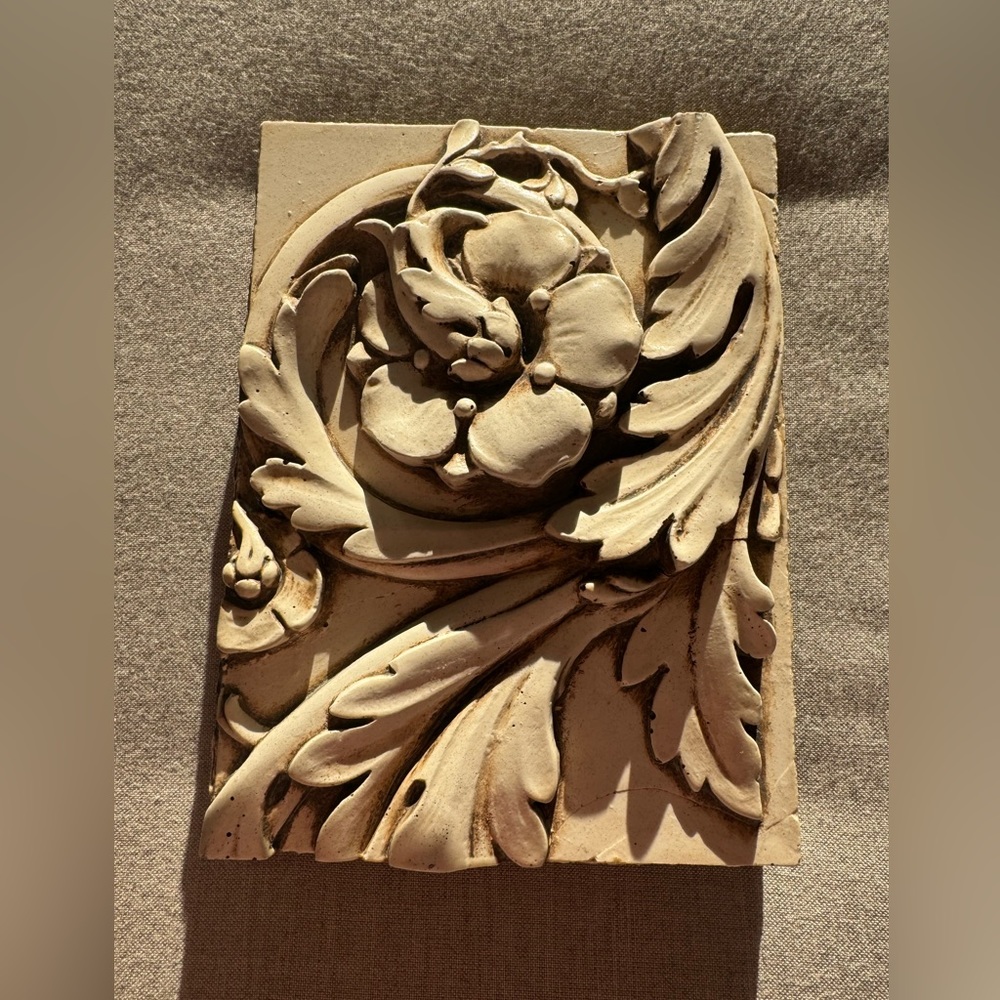 Leaf Swirl
Flowering centre nestled in this swirl of leaves